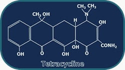 Figure 1. Tetracycline