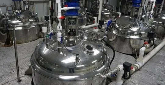 Uses of Enzymes in Various Industries